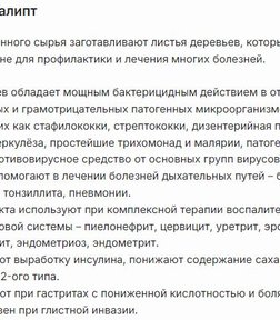 Эвкалипт за 1684,8 руб. (4)