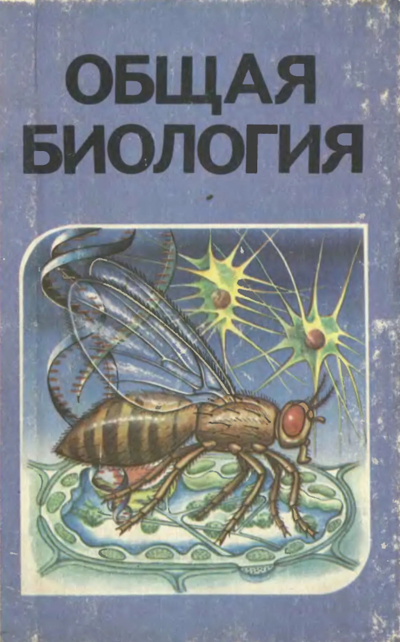 Общая биология Беляев 1991 Общая биология Беляев 1991